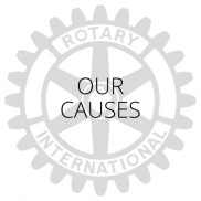 Our Causes